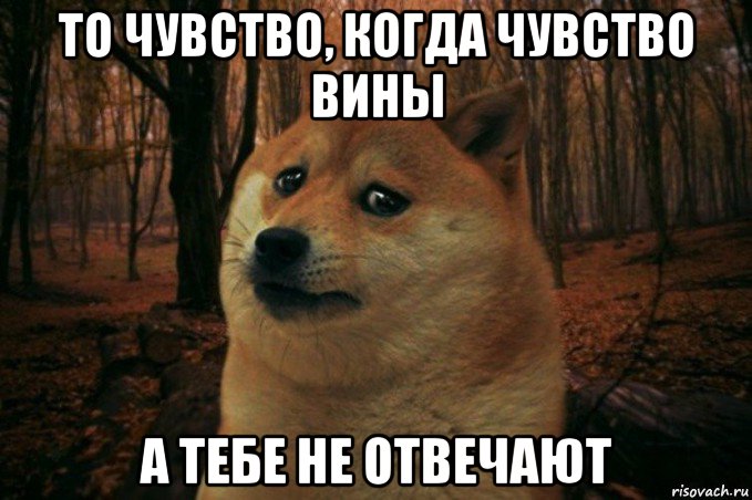 то чувство, когда чувство вины а тебе не отвечают, Мем SAD DOGE