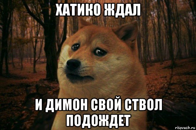 хатико ждал и димон свой ствол подождет, Мем SAD DOGE