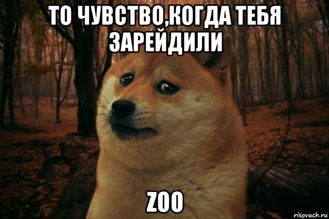 то чувство,когда тебя зарейдили zoo, Мем SAD DOGE