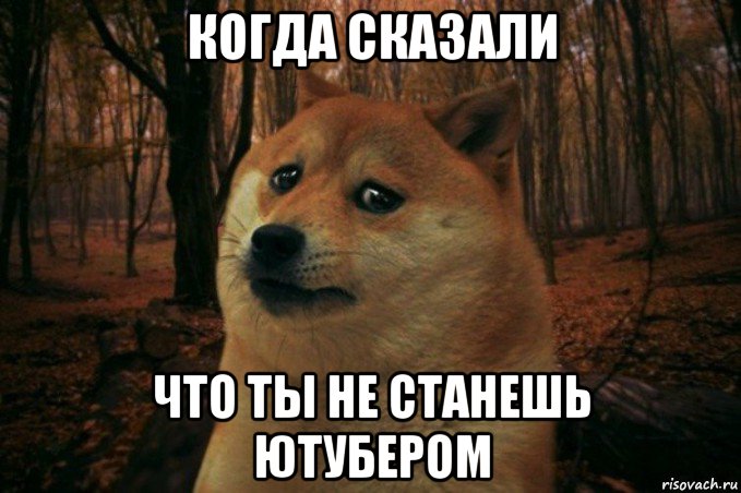 когда сказали что ты не станешь ютубером, Мем SAD DOGE