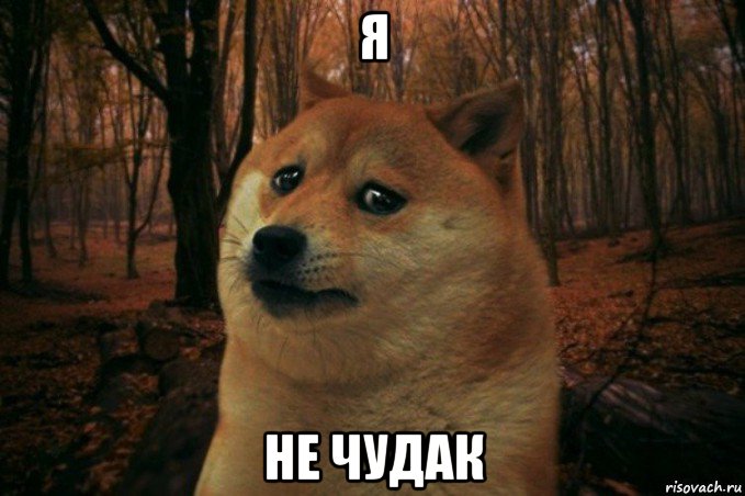 я не чудак, Мем SAD DOGE