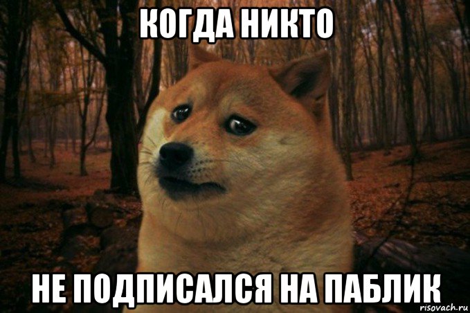 когда никто не подписался на паблик, Мем SAD DOGE