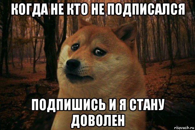 когда не кто не подписался подпишись и я стану доволен, Мем SAD DOGE