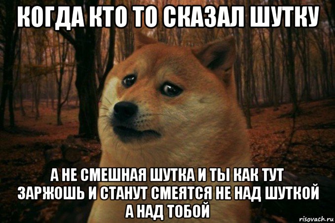 когда кто то сказал шутку а не смешная шутка и ты как тут заржошь и станут смеятся не над шуткой а над тобой, Мем SAD DOGE