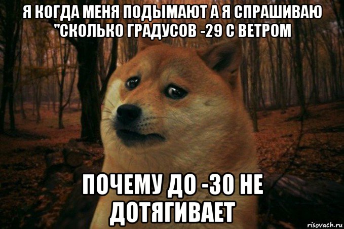 я когда меня подымают а я спрашиваю "сколько градусов -29 с ветром почему до -30 не дотягивает, Мем SAD DOGE