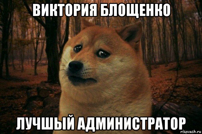 виктория блощенко лучшый администратор, Мем SAD DOGE