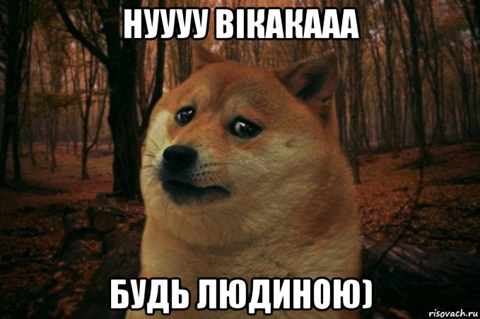 нуууу вікакааа будь людиною), Мем SAD DOGE