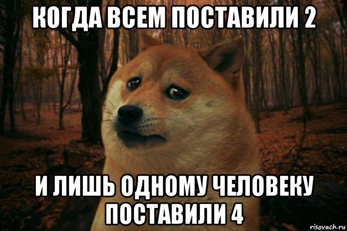 когда всем поставили 2 и лишь одному человеку поставили 4, Мем SAD DOGE