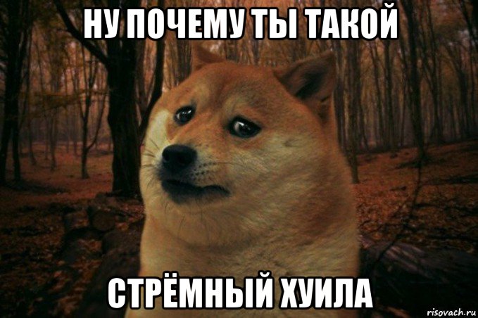 ну почему ты такой стрёмный хуила, Мем SAD DOGE