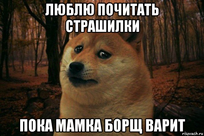 люблю почитать страшилки пока мамка борщ варит, Мем SAD DOGE