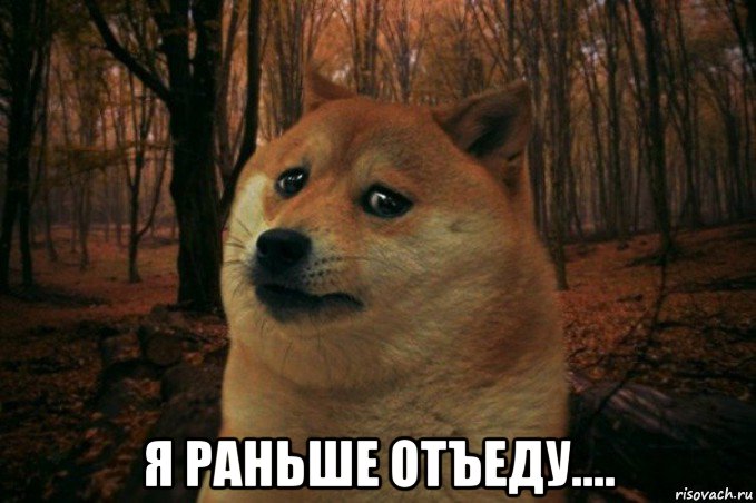  я раньше отъеду...., Мем SAD DOGE