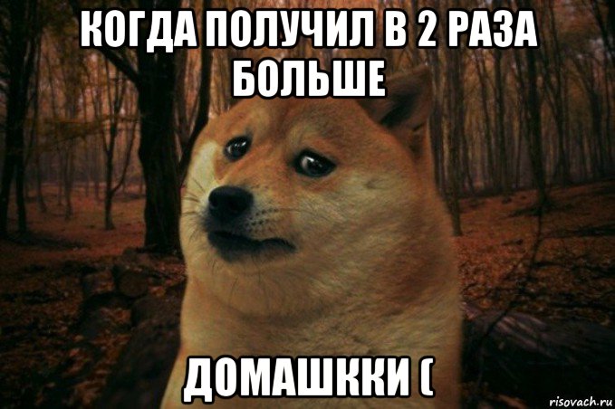 когда получил в 2 раза больше домашкки (, Мем SAD DOGE