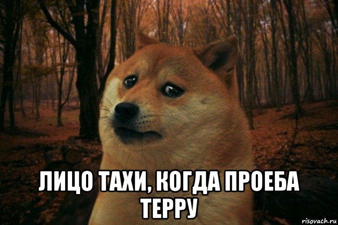  лицо тахи, когда проеба терру, Мем SAD DOGE