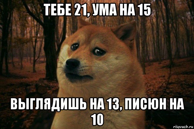 тебе 21, ума на 15 выглядишь на 13, писюн на 10, Мем SAD DOGE