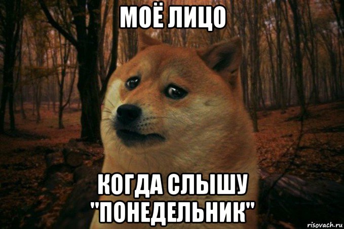 моё лицо когда слышу "понедельник", Мем SAD DOGE