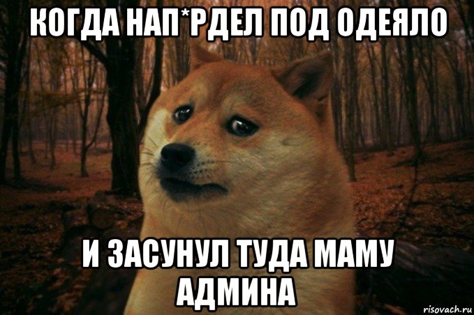 когда нап*рдел под одеяло и засунул туда маму админа, Мем SAD DOGE