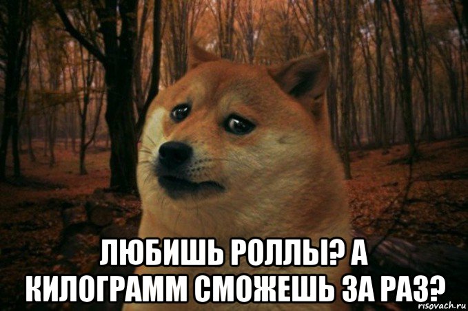  любишь роллы? а килограмм сможешь за раз?, Мем SAD DOGE