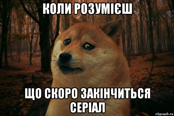 коли розумієш що скоро закінчиться серіал, Мем SAD DOGE