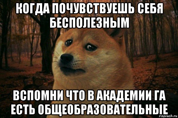 когда почувствуешь себя бесполезным вспомни что в академии га есть общеобразовательные, Мем SAD DOGE