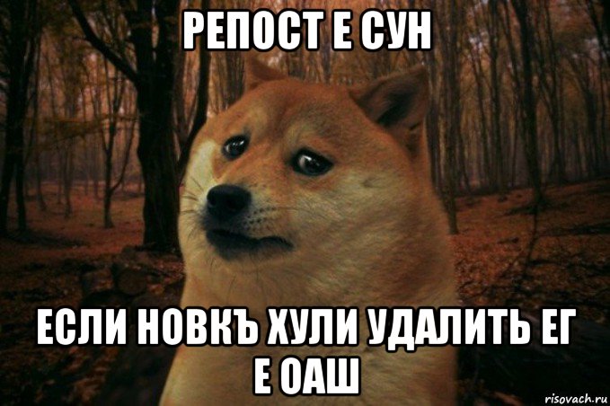 репост е сун если новкъ хули удалить ег е оаш, Мем SAD DOGE