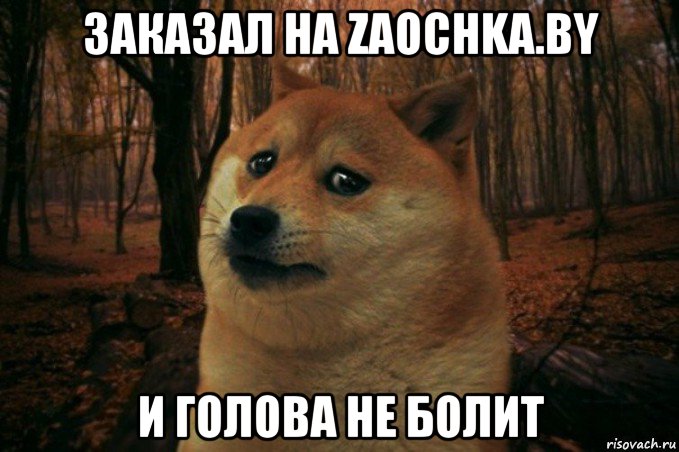 заказал на zaochka.by и голова не болит, Мем SAD DOGE