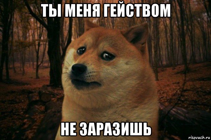 ты меня гейством не заразишь, Мем SAD DOGE