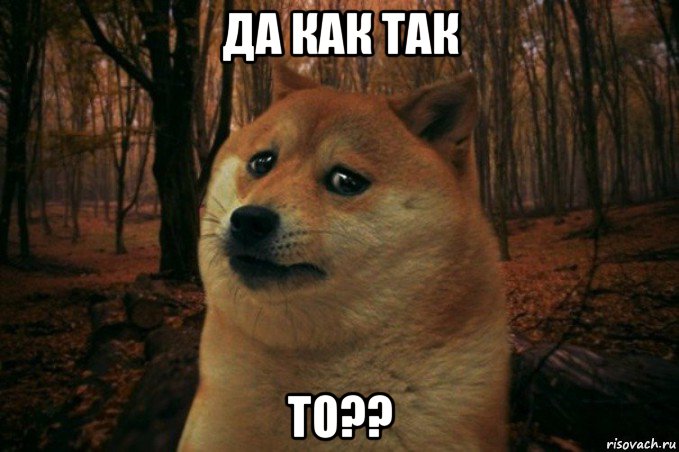 да как так то??, Мем SAD DOGE