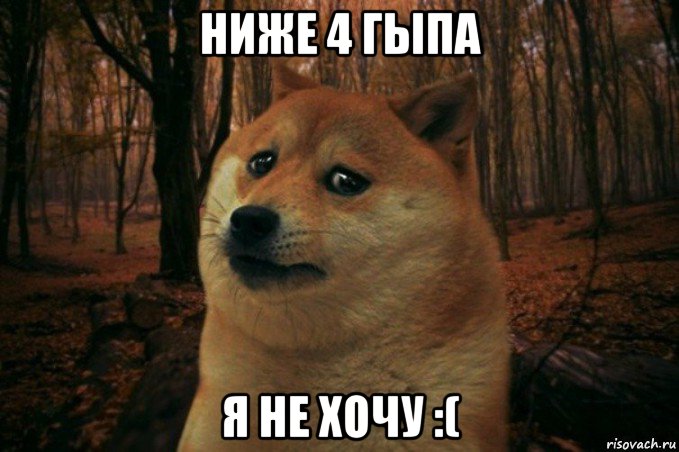 ниже 4 гыпа я не хочу :(, Мем SAD DOGE