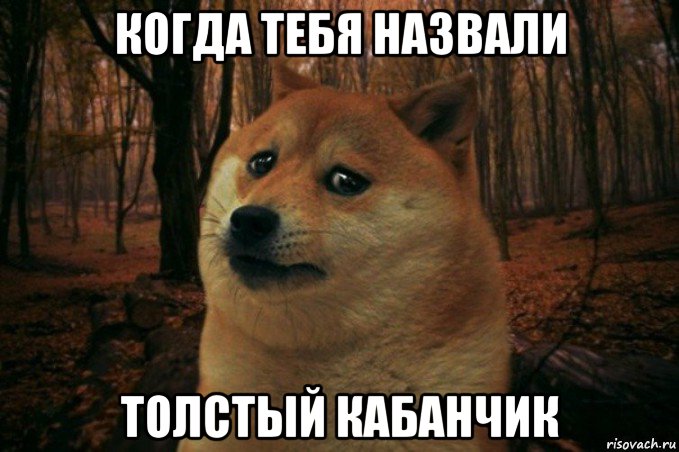 когда тебя назвали толстый кабанчик, Мем SAD DOGE