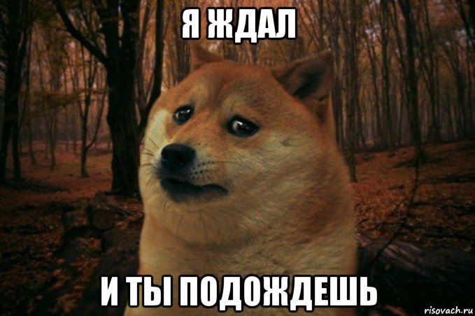 я ждал и ты подождешь