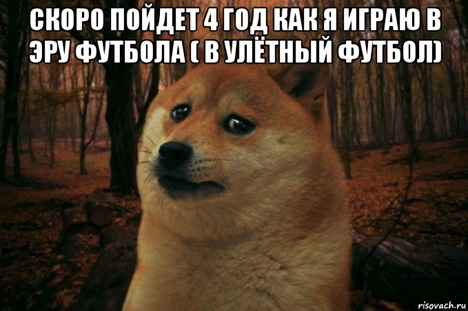 скоро пойдет 4 год как я играю в эру футбола ( в улётный футбол) , Мем SAD DOGE