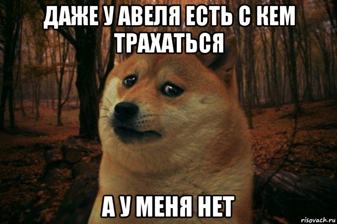 даже у авеля есть с кем трахаться а у меня нет, Мем SAD DOGE