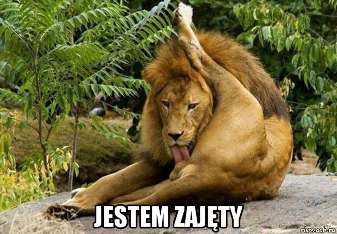  jestem zajęty