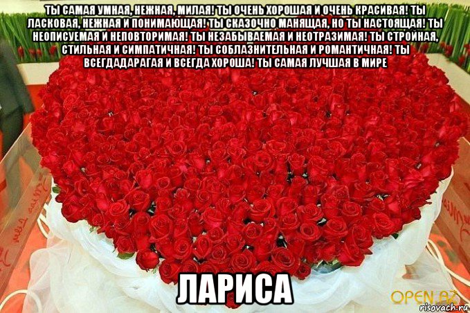 ты самая умная, нежная, милая! ты очень хорошая и очень красивая! ты ласковая, нежная и понимающая! ты сказочно манящая, но ты настоящая! ты неописуемая и неповторимая! ты незабываемая и неотразимая! ты стройная, стильная и симпатичная! ты соблазнительная и романтичная! ты всегдадарагая и всегда хороша! ты самая лучшая в мире лариса