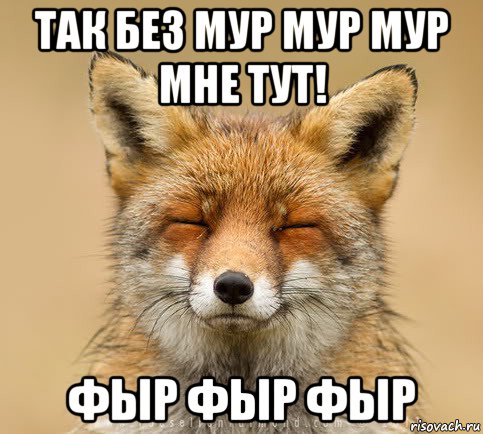 так без мур мур мур мне тут! фыр фыр фыр, Мем Счастливый лис