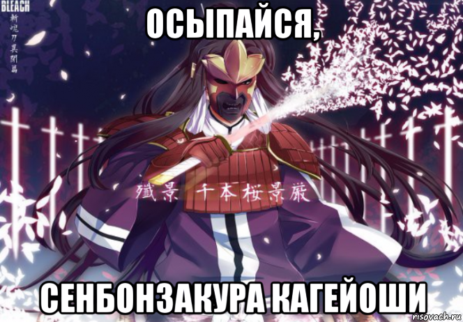 осыпайся, сенбонзакура кагейоши, Мем Сенбонзакура