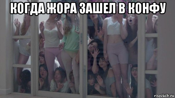 когда жора зашел в конфу , Мем Шкуры узнали
