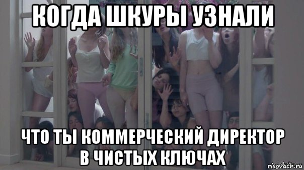 когда шкуры узнали что ты коммерческий директор в чистых ключах, Мем Шкуры узнали