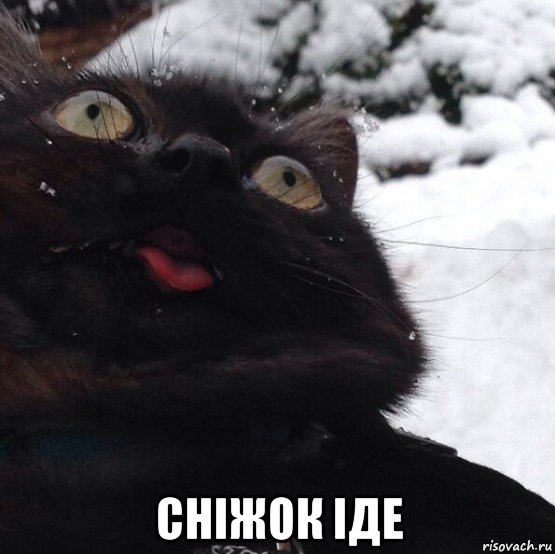  сніжок іде