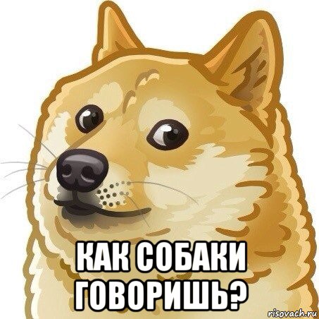  как собаки говоришь?