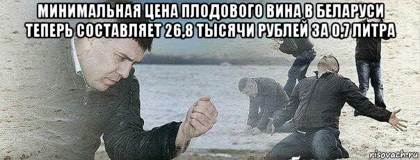 минимальная цена плодового вина в беларуси теперь составляет 26,8 тысячи рублей за 0,7 литра 