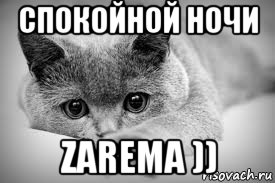 спокойной ночи zarema ))