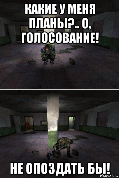 какие у меня планы?.. о, голосование! не опоздать бы!