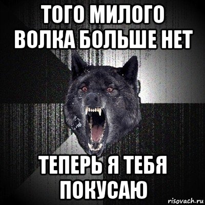 того милого волка больше нет теперь я тебя покусаю, Мем Сумасшедший волк