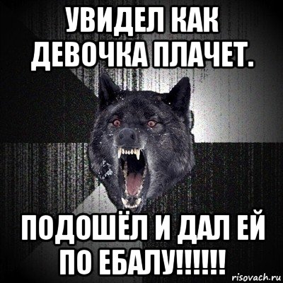 увидел как девочка плачет. подошёл и дал ей по ебалу!!!!!!, Мем Сумасшедший волк