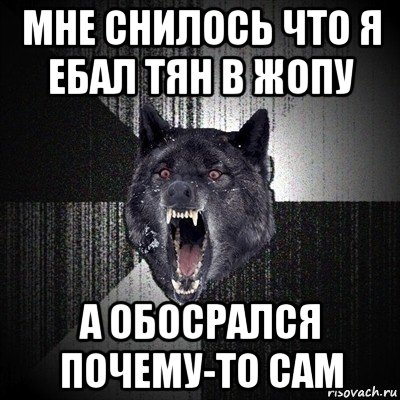 мне снилось что я ебал тян в жопу а обосрался почему-то сам, Мем Сумасшедший волк