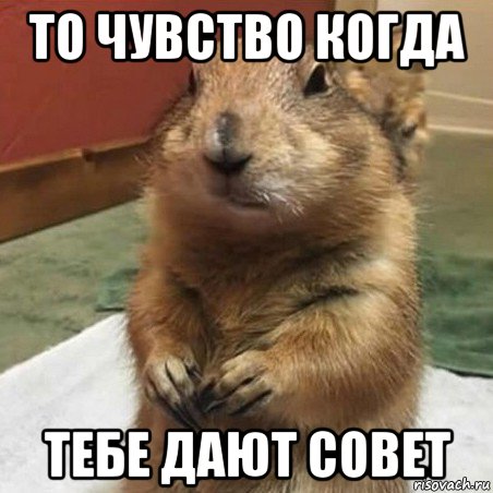 то чувство когда тебе дают совет