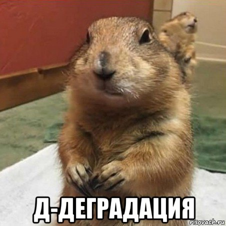  д-деградация