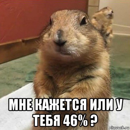  мне кажется или у тебя 46% ?, Мем Суслик спрашивает