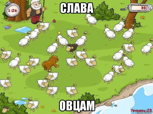 слава овцам, Мем Sven